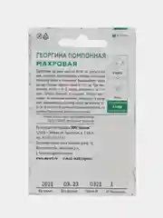 Алый семена Астра Помпонная. Георгина Помпонная, Цинния Пеперминт. Семена цветов