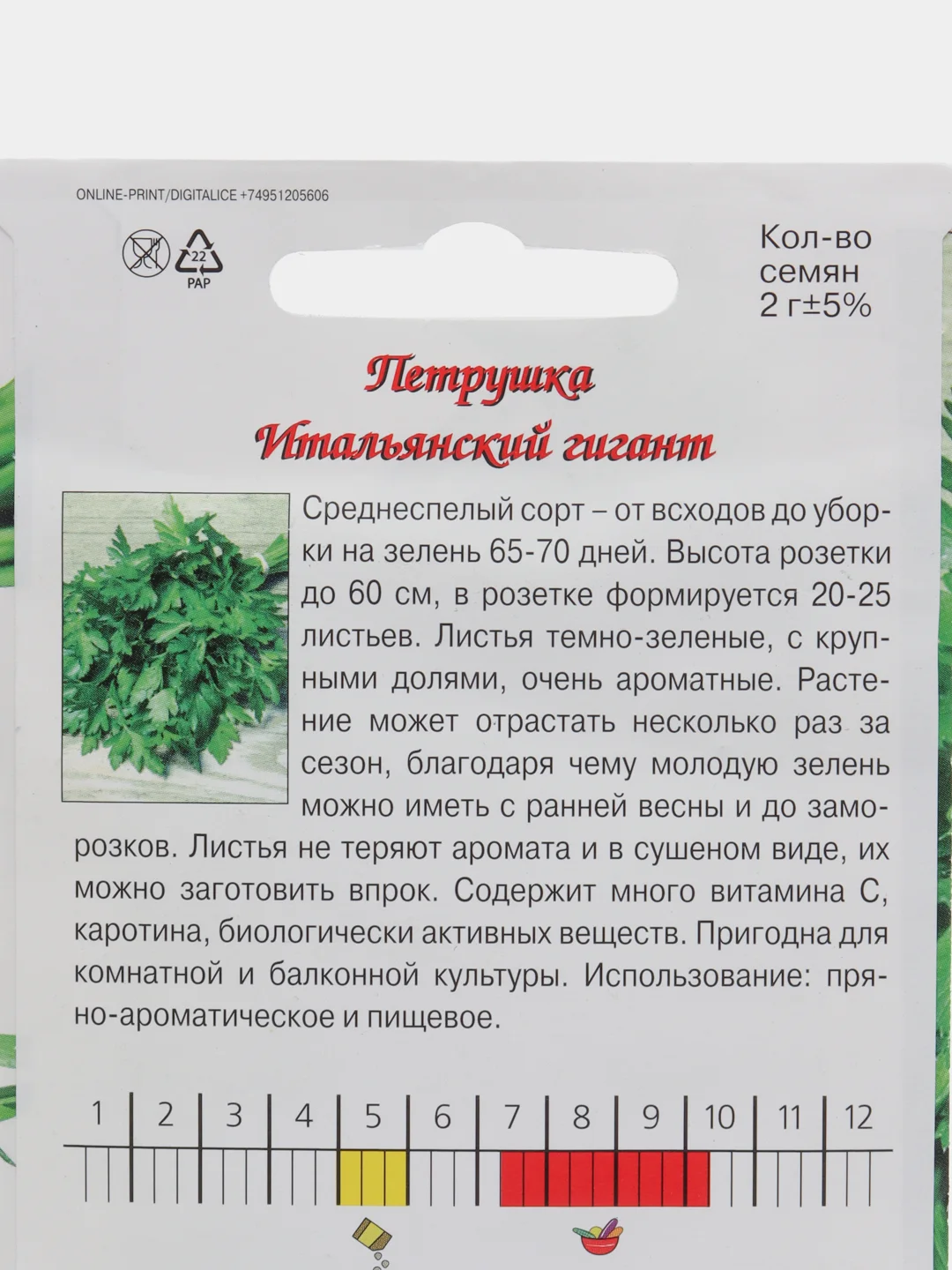Лесной зеленый семена Петрушка Фитнес, среднеспелый сорт. Итальянский Гигант. Профессиональные семена