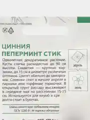 Алый семена Астра Помпонная. Георгина Помпонная, Цинния Пеперминт. Семена цветов