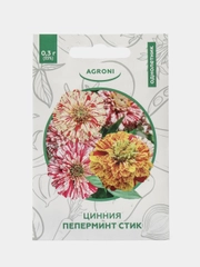 Семена Астра Помпонная. Георгина Помпонная, Цинния Пеперминт. Семена цветов