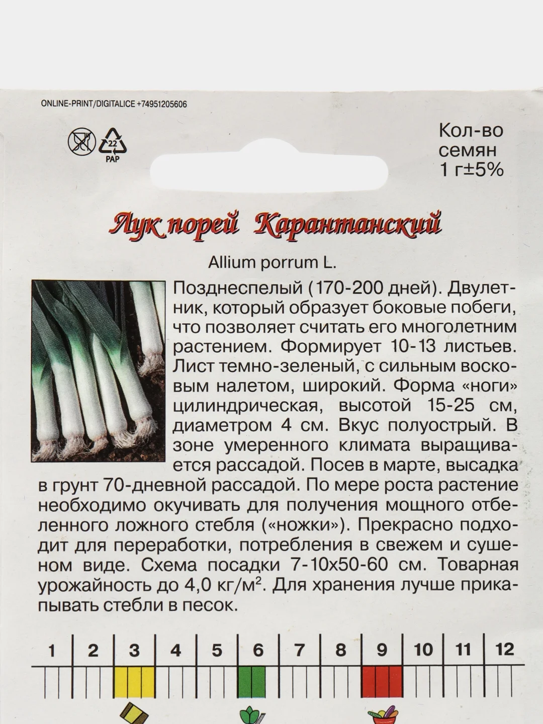 Зеленый семена Лук Порей Каратанский двухлетник. Профессиональные семена для любителей