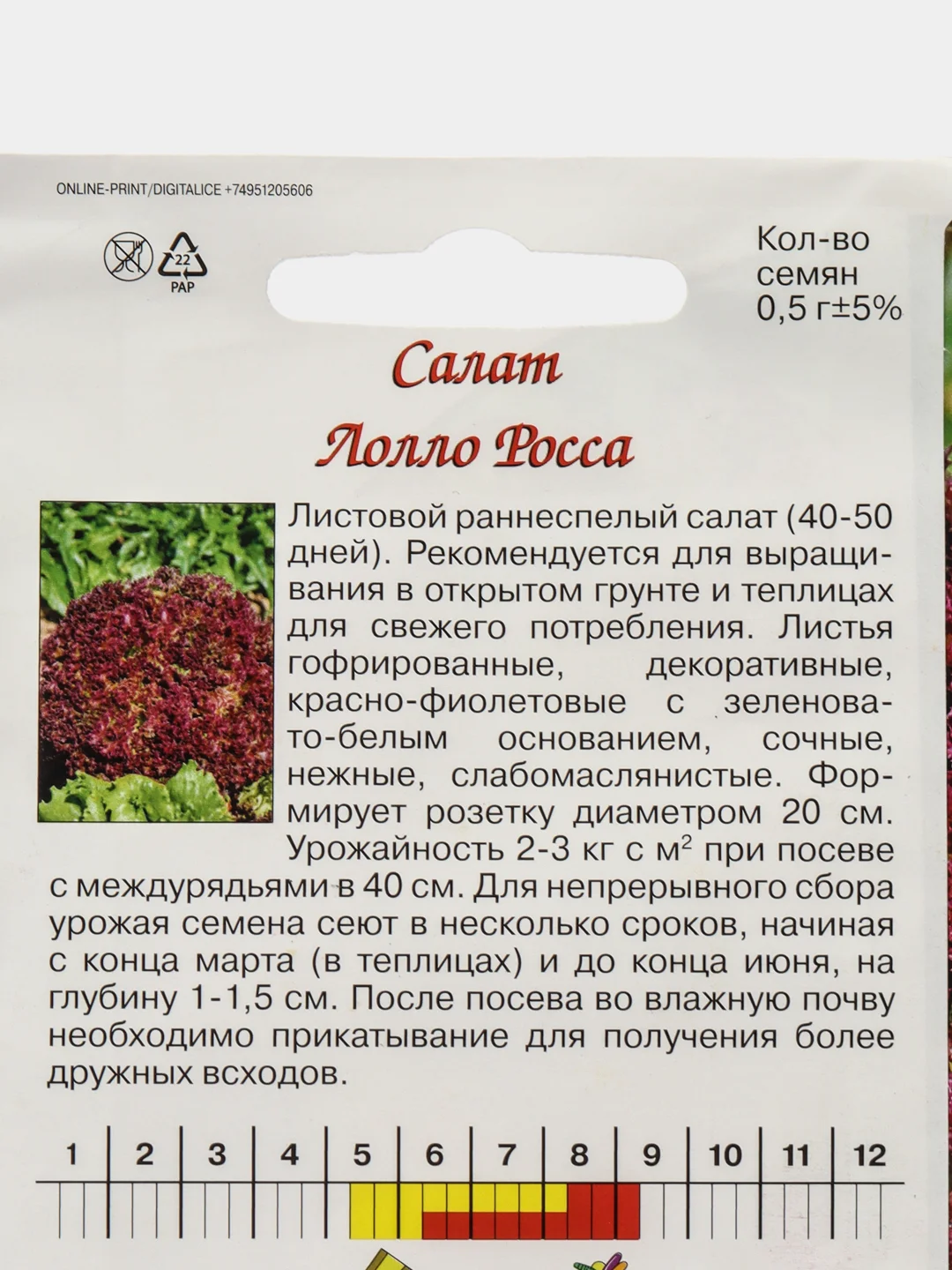 Багровый семена Салат Вишневая Дымка, среднеспелый сорт. Лолло Роса, раннеспелый сорт