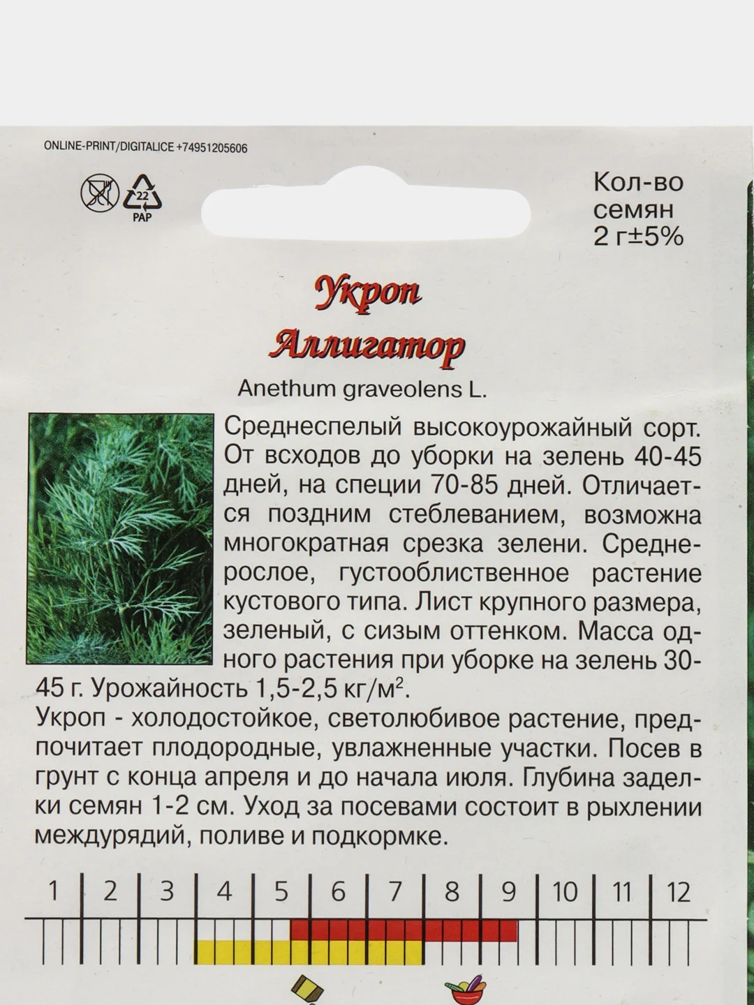 Зеленый семена Укроп Кудесник, Аллигатор среднеспелый. Профессиональные семена для любителей