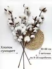 Белый хлопок сухоцветы для декора ветка
