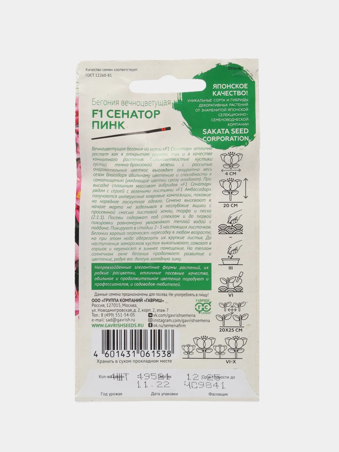 Бегония Сенатор Пинк
