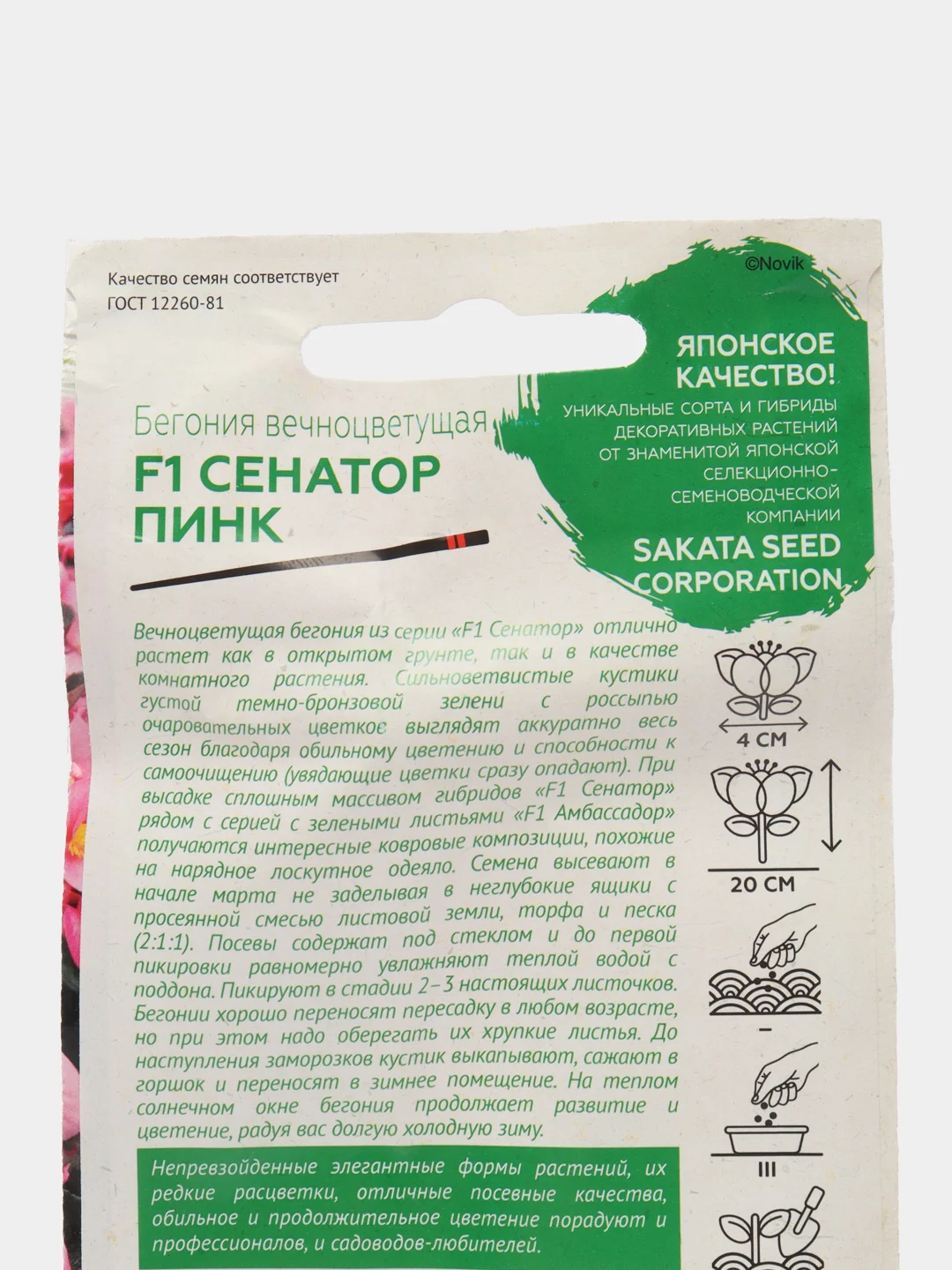 Бегония Сенатор Пинк