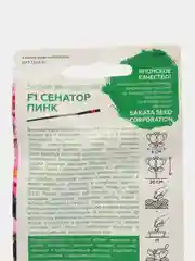 Бегония Сенатор Пинк