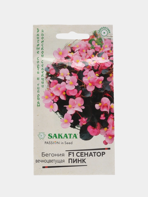 Бегония Сенатор Пинк