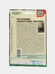 Семена Сосна карликовая "Кедровый стланик"