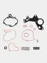 Ремкомплект тандемного вакуумного насоса VAG 1.2TDI 1.4TDI 1.9TDI 2.0TDI 038145209