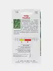 Лесной зеленый семена Рукола Дикая Двурядник Амаретто (многолетняя) Два урожая в сезон, Индау Диковина
