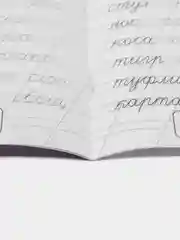 Классические прописи М. А. Жукова - пишем слова курсивными буквами