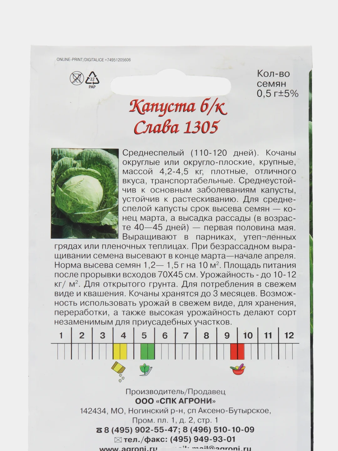 Зеленый семена Капуста Белокочанная Слава 1305, Московская поздняя Профессиональные семена