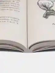 Занимательная механика. Серия "Дом занимательной науки" Перельман Я.И