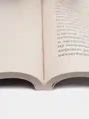 Россия и Запад. Эссе и стихи. Тютчев Ф.И