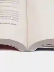 Конституция РФ. Новая редакция с поправками и основными федеральными законами.-3-е изд