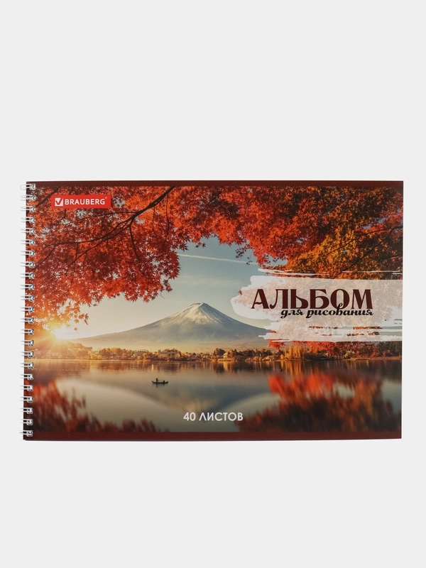 Альбом для рисования, А4, 40 листов, гребень, обложка картон, BRAUBERG
