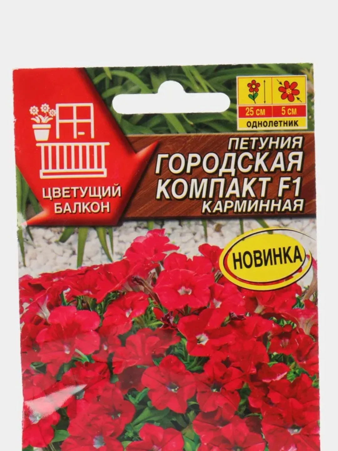 Красный петуния Городская компакт для выращивания в горшках, семена цветов