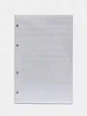 Сменный блок для тетради на кольцевом механизме, 135x205 мм