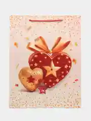 Коралловый пакетподарочный 31*40*12см RQ-895-L
