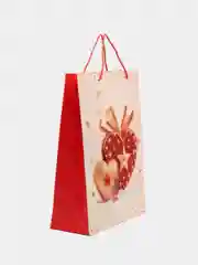 Коралловый пакетподарочный 31*40*12см RQ-895-L