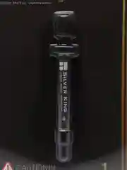 Thermalright SilverKing 1g