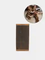 Когтеточка лежанка с кошачьей мятой, когтедралка точилка для кошек