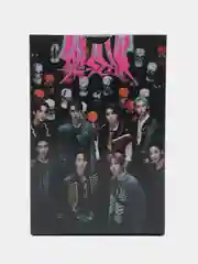 Карточки K-pop группы "Stray Kids" альбом "5-STAR", 55 штук