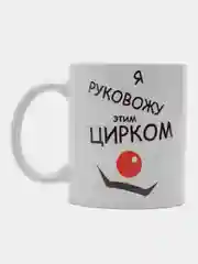 Кружка сувенирная, подарочная с принтом  " Я руковожу этим цирком. Кружка руководителя ""