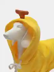 Желтый худи для собак и кошек, толстовка, костюм