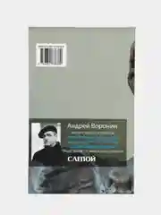 Книга Слепой: Повелитель бурь, детектив. Андрей Воронин