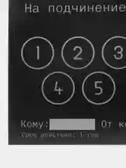 Серый сертификаты для второй половинки, 18+"
