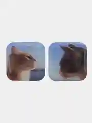 Парные 3D стикеры с котиками, парные наклейки, парные наклейки на телефон, котики, коты