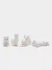 Белый сувенирный набор. Кошки