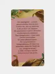Розовый метафорические ассоциативные карты Таро/ Оракул/ Уэйта / гадальные, классические 50 карт