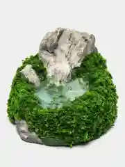 Зеленый микропейзаж