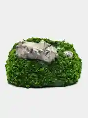 Зеленый микропейзаж