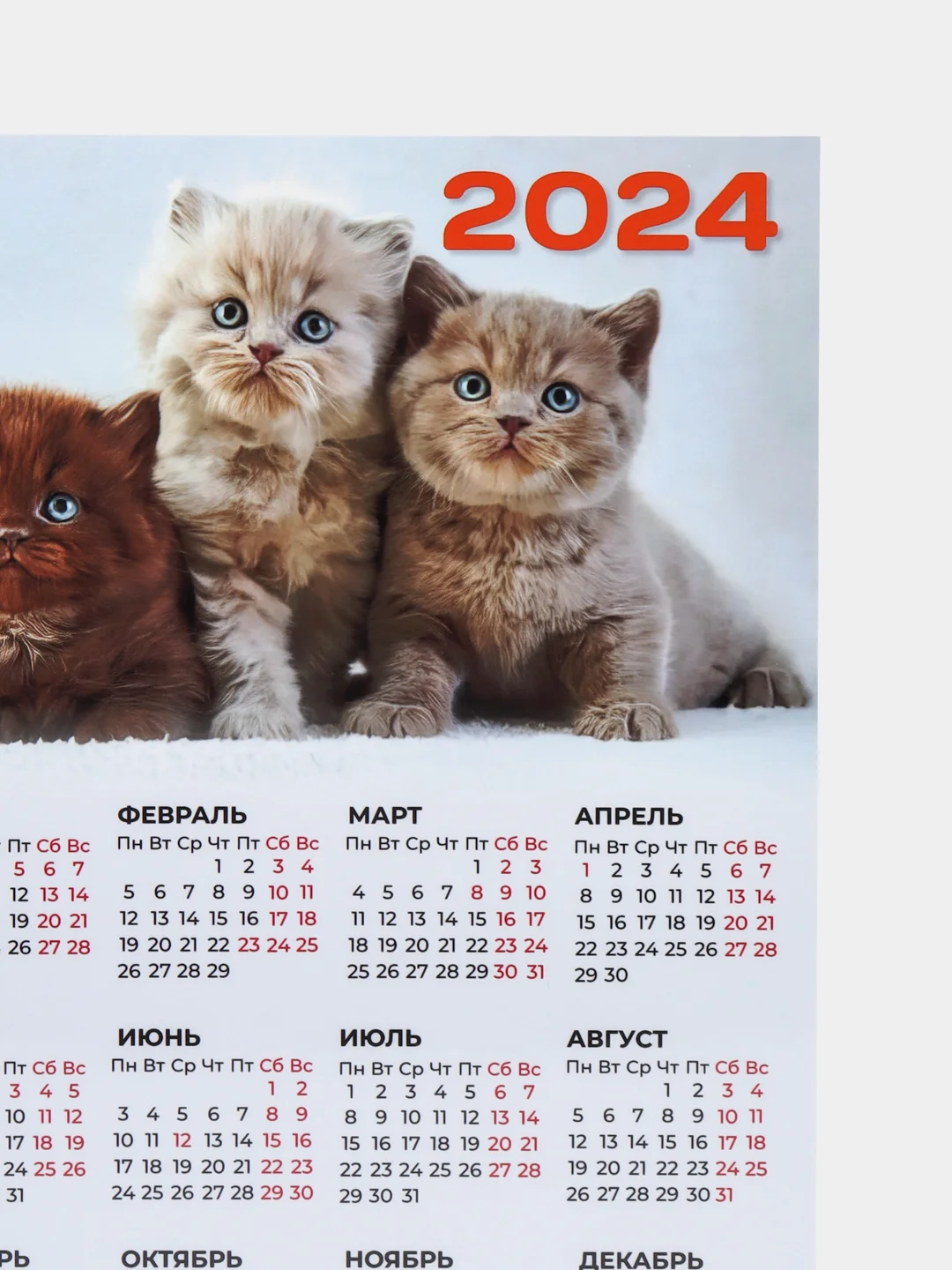 Серый календарь 2024,Календарь с приколом,Прикольный календарь,Календарь А4,Календарь