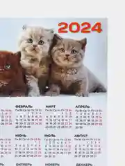 Серый календарь 2024,Календарь с приколом,Прикольный календарь,Календарь А4,Календарь