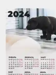 Белый календарь 2024,Календарь с приколом,Прикольный календарь,Календарь А4,Календарь