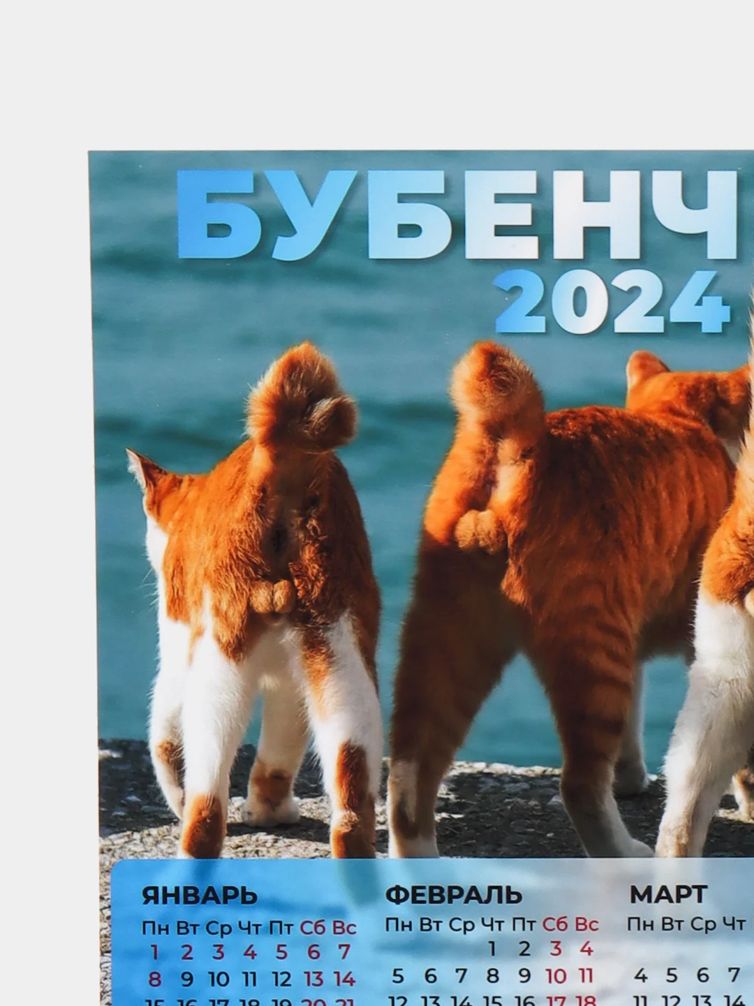 Голубой календарь 2024,Календарь с приколом,Прикольный календарь,Календарь А4,Календарь
