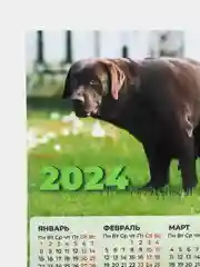 Зеленый календарь 2024,Календарь с приколом,Прикольный календарь,Календарь А4,Календарь