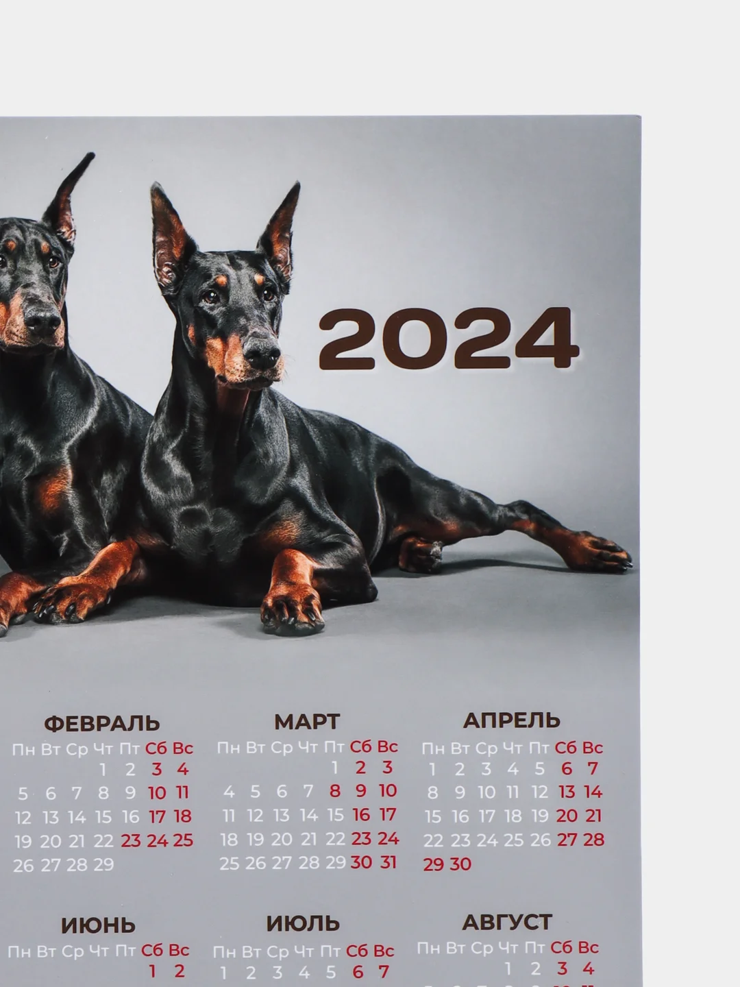 Серый календарь 2024,Календарь с приколом,Прикольный календарь,Календарь А4,Календарь
