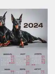 Серый календарь 2024,Календарь с приколом,Прикольный календарь,Календарь А4,Календарь