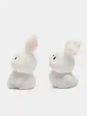 Белый зайчики