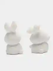 Белый зайчики