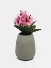 Конфетный ветреница, букеты на пасху
