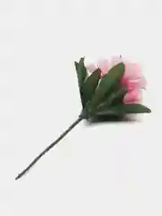 Конфетный ветреница, букеты на пасху