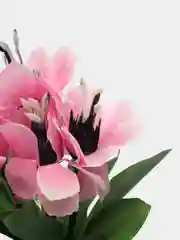 Конфетный ветреница, букеты на пасху