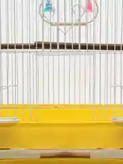 Желтый клетка для птиц, 30*23*39см